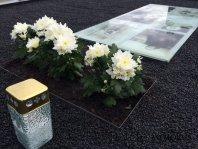 Kapų dizaino nuotrauka po kapo apželdinimo dekoratyvinėmis pušimis Marijampolėje