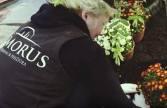 Kapavietės priežiūros darbai