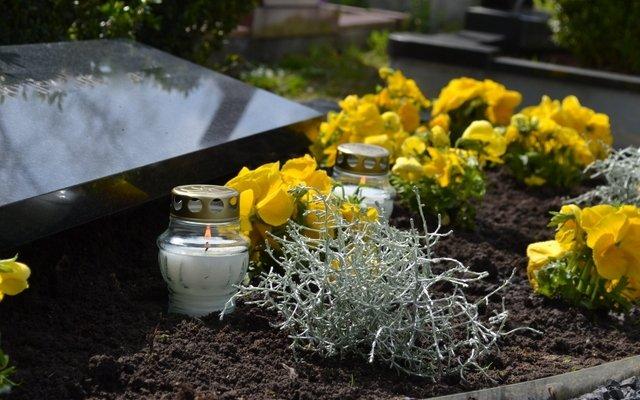 Kapai apželdinti ryškiaspalvėmis gėlėmis po kapų priežiūros darbų