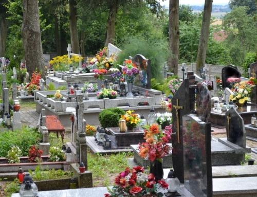 Kapų tvarkymas – dažniausiai daromos klaidos